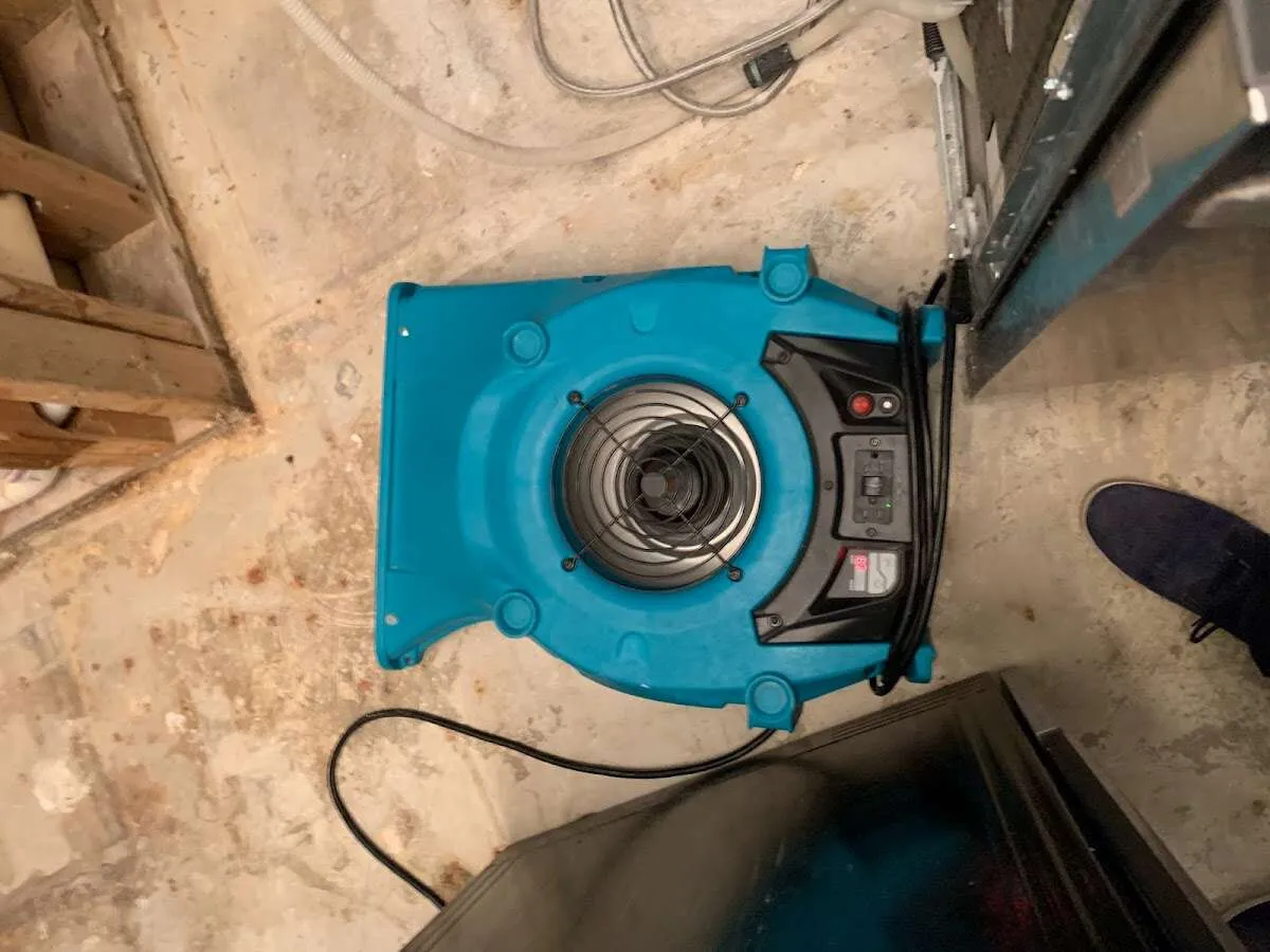 Air mover drying equipment for Mold Remediation & Removal in Nyack